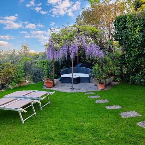 Natural landscape, Garden, sunbed