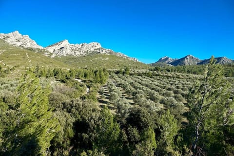 Nearby landmark, Natural landscape