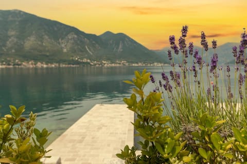 Apartments D&V Apartment in Dobrota