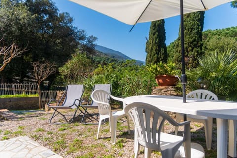 Patio, Garden view