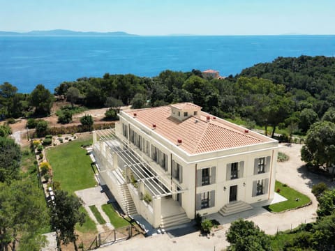 Bird's eye view, Garden