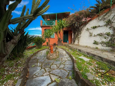 Property building, Spring, Day, Garden, Garden view