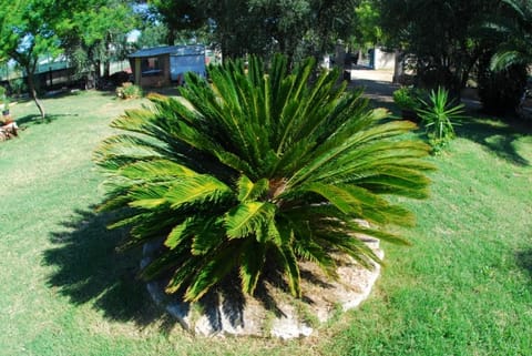 Ville le Palme Bed and Breakfast in Rodi Garganico