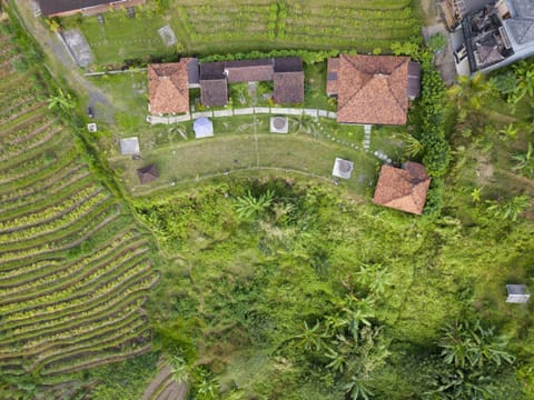 Bird's eye view, Garden, Landmark view, Mountain view, Inner courtyard view