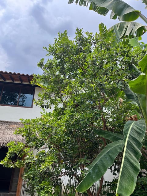 El Zapote Casa de descansó House in State of Morelos