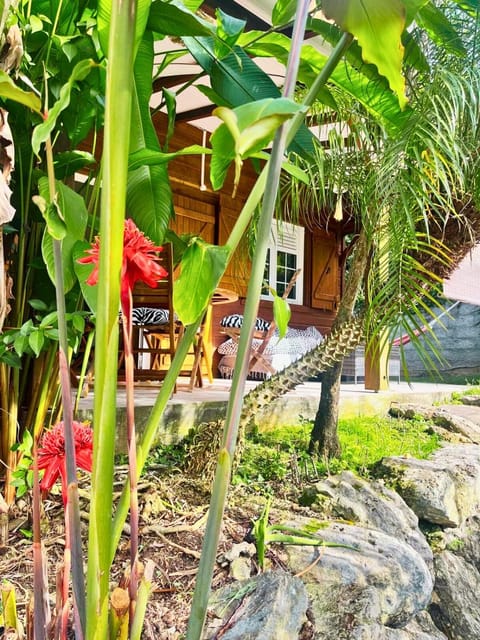 Ti kaz banana House in Les Abymes