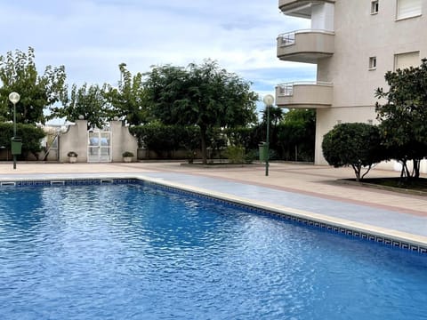 Garden, Swimming pool