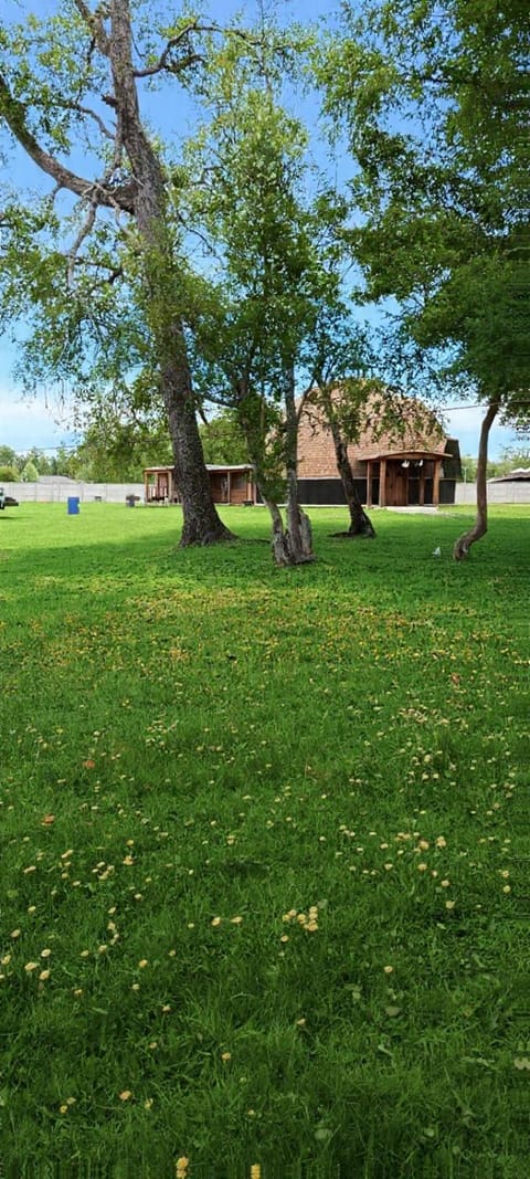 Day, Garden view