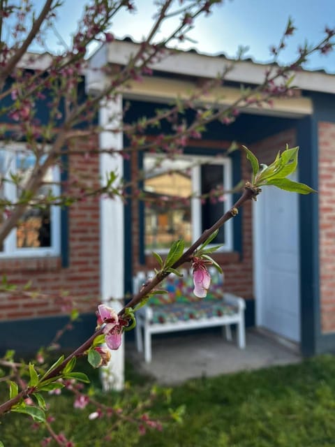 Spring