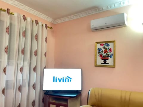 TV and multimedia, air conditioner