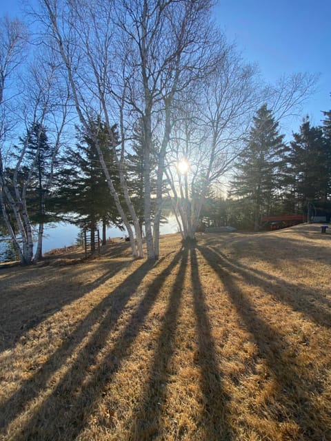 Property view