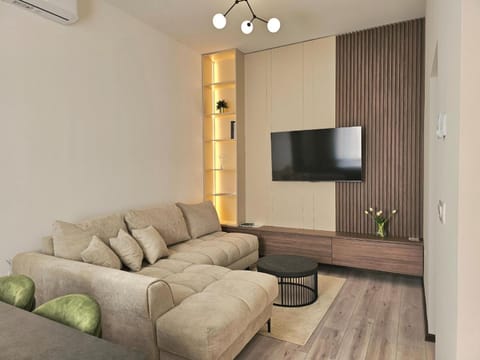 TV and multimedia, Living room, Seating area, air conditioner