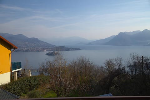 Lake view