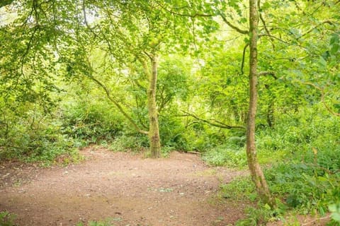 Chalet 18 Channel View Bideford Bay Holiday Park Chalet in Bideford Bay Holiday Park