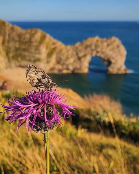 Nearby landmark, Natural landscape