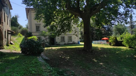 Property building, Garden view