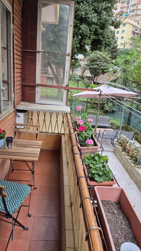 Garden view