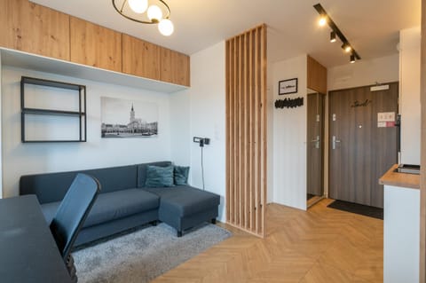 Kitchen or kitchenette, Living room, Seating area, wardrobe