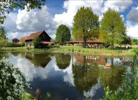 Fishing, Garden