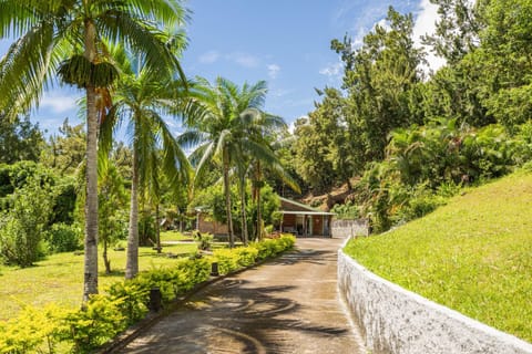 Day, Natural landscape, Garden view