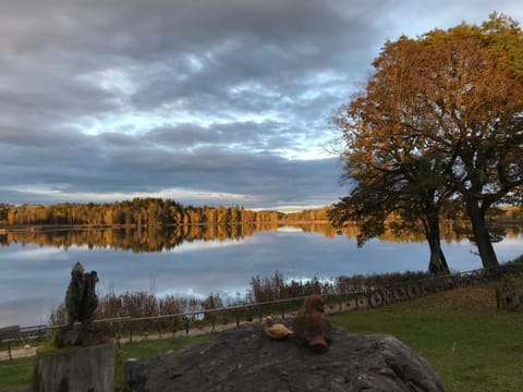 Lake view