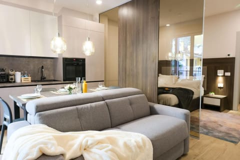 TV and multimedia, Kitchen or kitchenette, Living room, Photo of the whole room, Seating area, Dining area