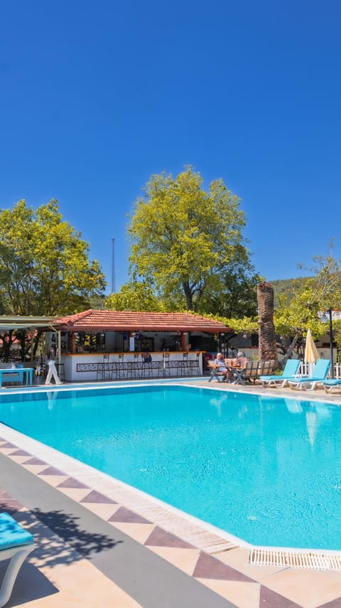 Day, Pool view, Swimming pool, sunbed