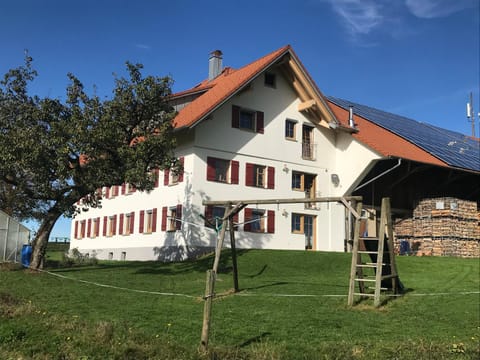 Property building, Day, Garden