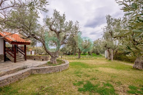 Spring, Day, Natural landscape, Garden, Garden view
