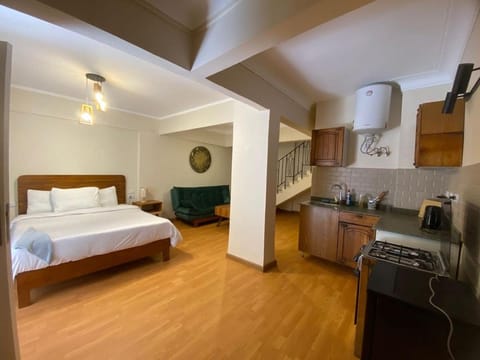 Bed, Kitchen or kitchenette, Photo of the whole room, Bedroom, oven, stove