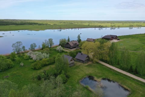 Bird's eye view, River view