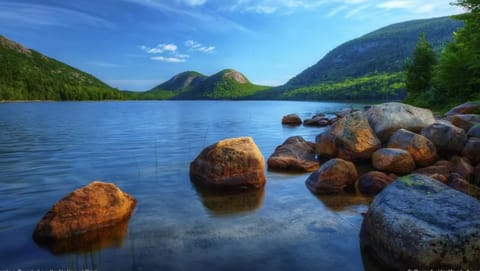 Natural landscape
