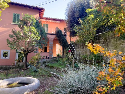 Spring, Garden, Garden view
