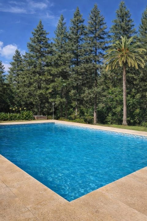 Day, Garden, Garden view, Pool view, Swimming pool, Swimming pool