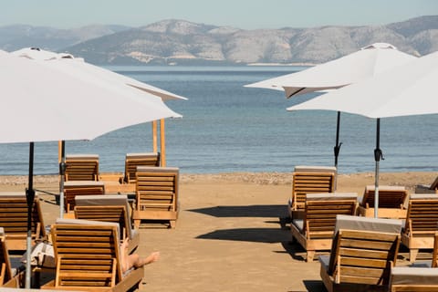 Beach, sunbed