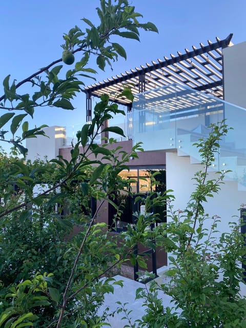 Property building, Garden, Balcony/Terrace