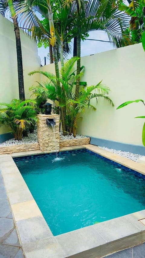 Garden, Swimming pool