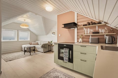 Living room, kitchen