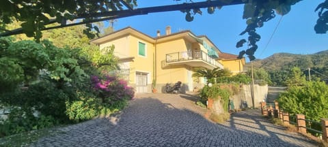 Property building, Garden, Garden view