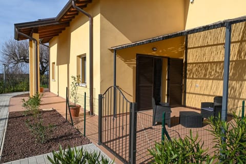Patio, Garden view
