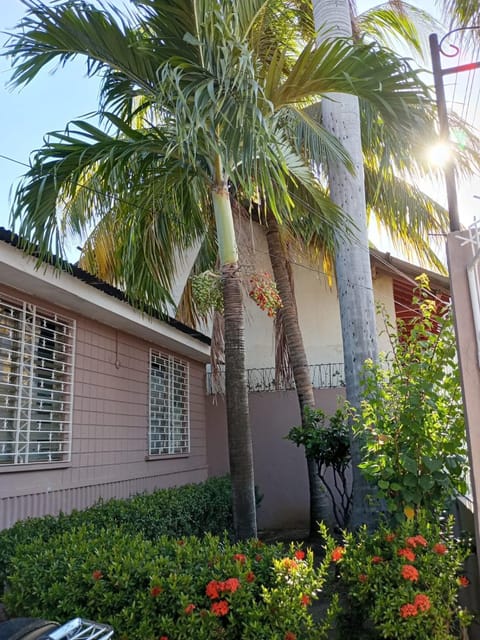 Day, Garden, Garden view