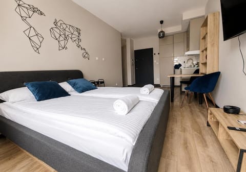Communal lounge/ TV room, Bed, TV and multimedia, Kitchen or kitchenette, Living room, Photo of the whole room, Seating area, Evening entertainment, Bedroom, minibar