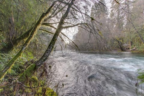 Restored log cabin with classic porch - near river trails hot springs & more Cabin in McKenzie River