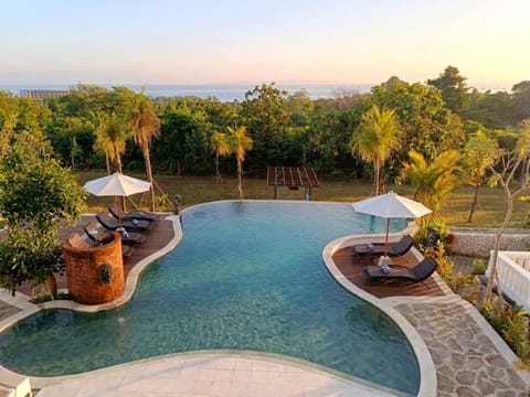 Day, Natural landscape, Garden, Garden view, Pool view, Swimming pool, Swimming pool, sunbed