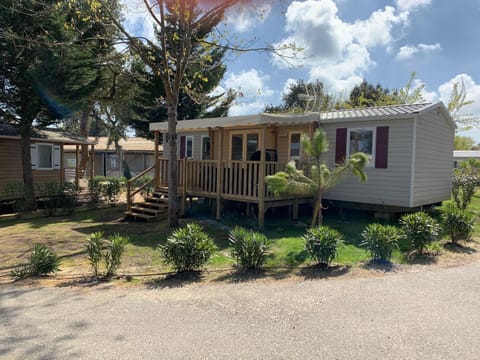 Property building, Garden, Garden view
