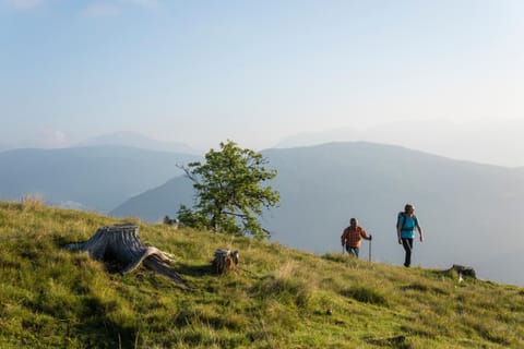 Day, Natural landscape, Hiking, Mountain view