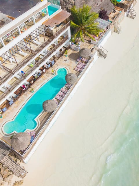 Day, Natural landscape, Beach, Pool view, Sea view, Swimming pool, Swimming pool, sunbed