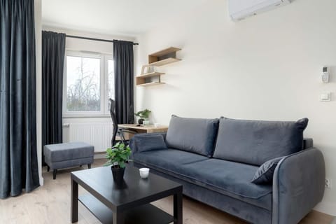Living room, Seating area, air conditioner