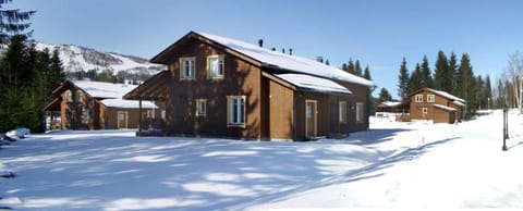 Property building, Day, Winter