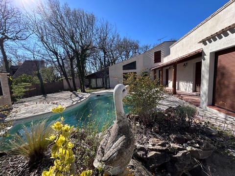 Garden, Garden view, Pool view, Swimming pool